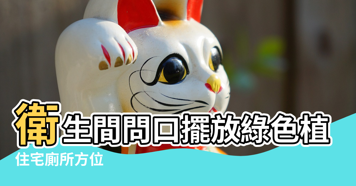 【衛生間門口適合放什麼改風水學】衛生間問口擺放綠色植物有什麼講究嗎 |住宅廁所方位 |廁所在房子的哪個位置風水好 |