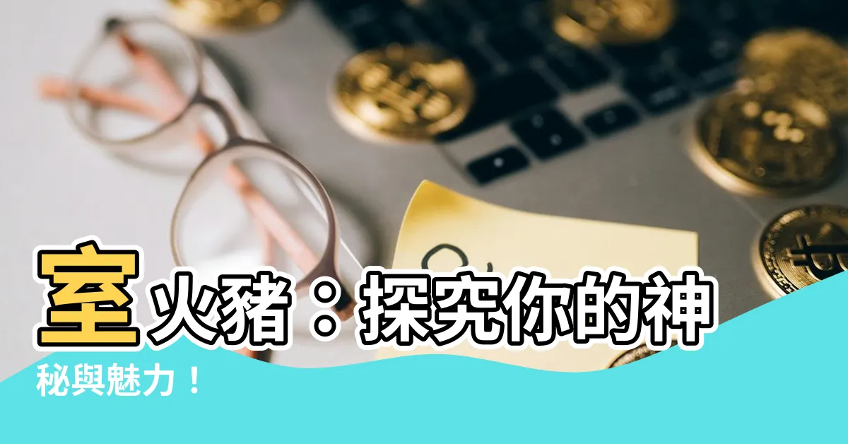 【室火豬】室火豬：探究你的神秘與魅力！