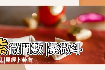 【紫微和易經】紫微鬥數 |紫微斗數與 |易經卜卦有比紫微鬥數準確嗎 |