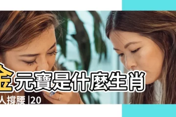 【金元寶 哪隻生肖】金元寶是什麼生肖 |賢人撐腰 |2019年擁有金元寶的四生肖 |