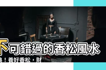【香松風水】不可錯過的香松風水寶典！養好香松，財富滾滾來