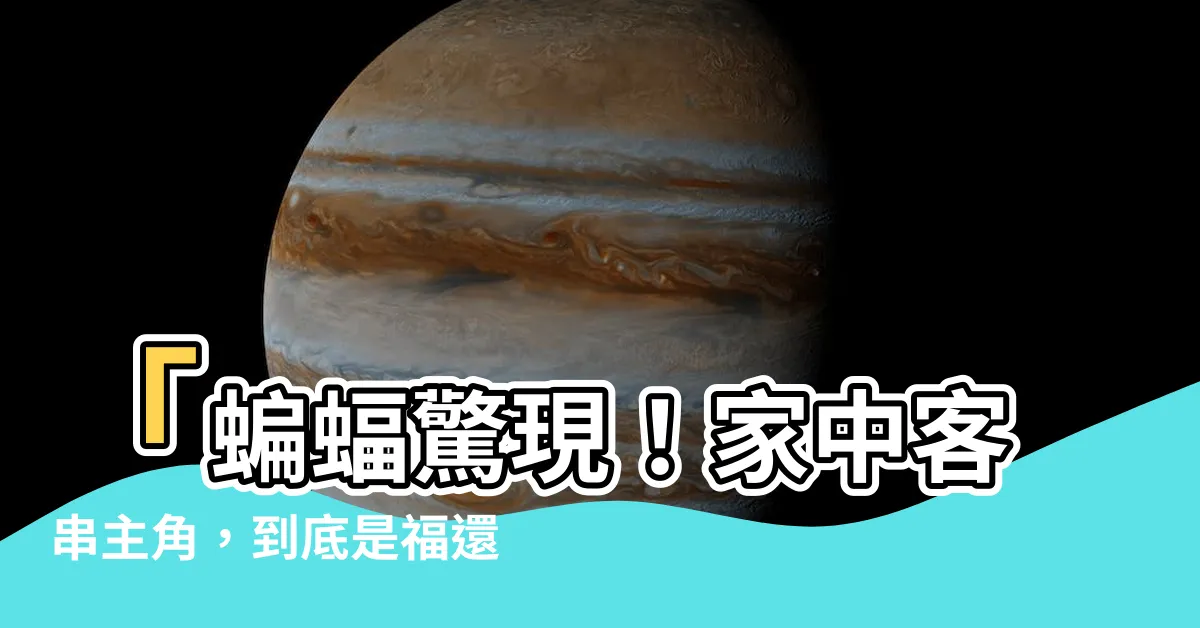 【蝙蝠跑進來家裡】「蝙蝠驚現！家中客串主角，到底是福還是禍？」