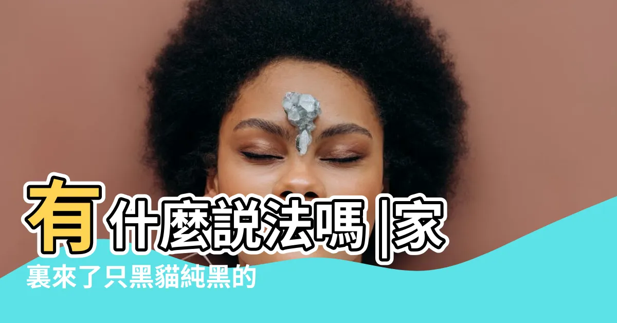 【自來黑貓】有什麼説法嗎 |家裏來了只黑貓純黑的 |家裡來黑貓是什麼預兆 |