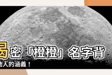【橙橙的名字】揭密「橙橙」名字背後動人的涵義！