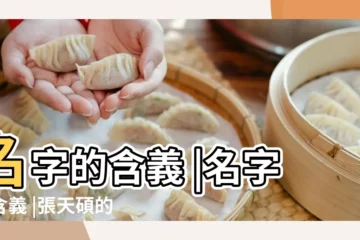 【張天碩名字含義】名字的含義 |名字的含義 |張天碩的名字測試打分結果 |