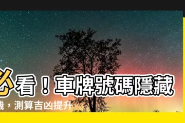 【車牌號吉凶】必看！車牌號碼隱藏玄機，測算吉凶提升運勢