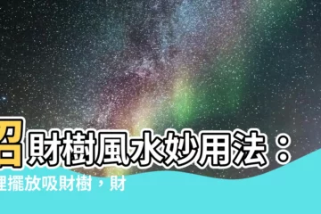 【吸財樹風水】招財樹風水妙用法：家裡擺放吸財樹，財運滾滾來！