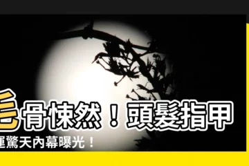 【頭髮指甲改運】毛骨悚然！頭髮指甲改運驚天內幕曝光！駭人真相令人不寒而慄