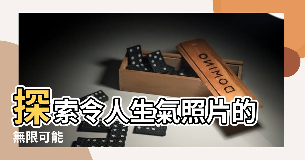 【生氣照片】探索令人生氣照片的無限可能