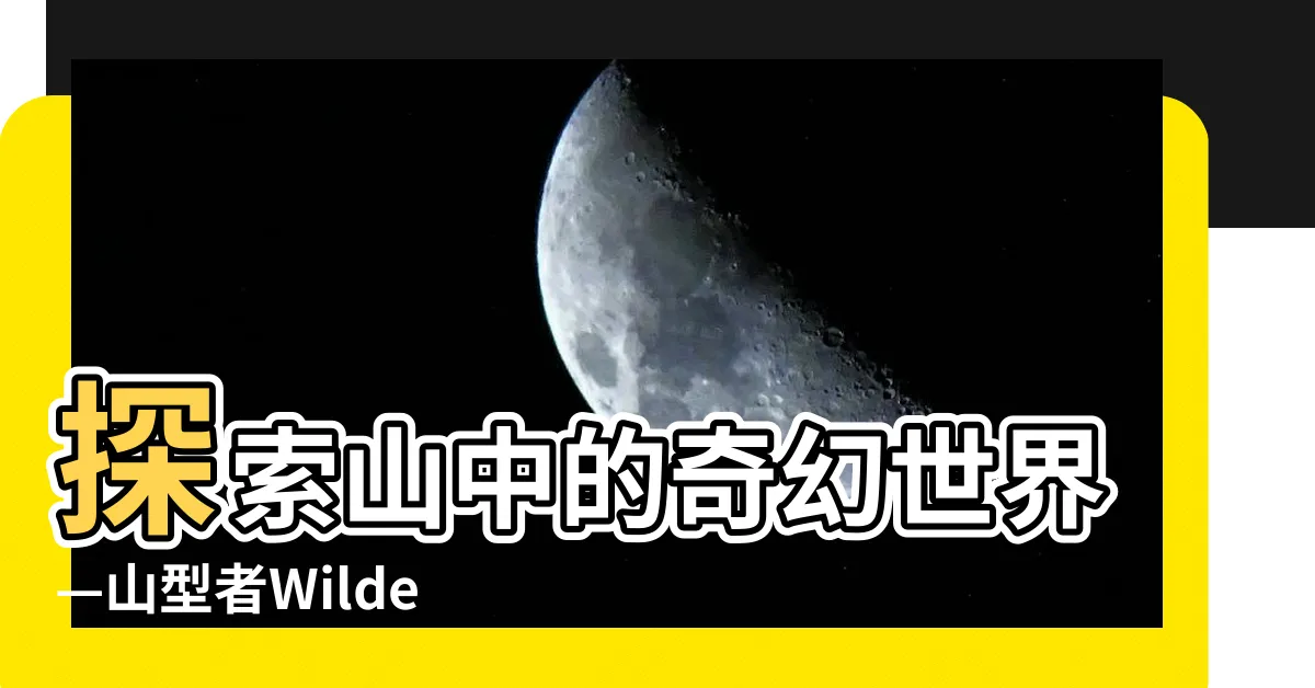 【山型者】探索山中的奇幻世界—山型者Wilder