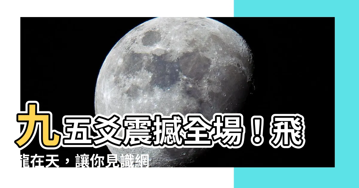 【九五爻】九五爻震撼全場！飛龍在天，讓你見識網絡世界的巨人！