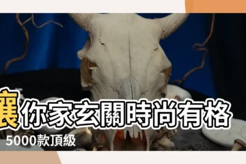 【玄關裝飾】讓你家玄關時尚有格調！5000款頂級玄關裝飾大公開