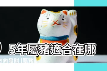 【95年屬豬上東北方向】95年屬豬適合在哪個方向發財 |屬豬的財運在哪個方向 |最佳求財方位是哪裏 |