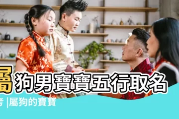 【狗年出生缺木男寶寶取名忌諱】屬狗男寶寶五行取名參考 |屬狗的寶寶取名字大全 |屬狗男孩最吉利的名字 |