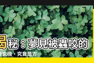 【夢見被蟲咬】揭秘：夢見被蟲咬的背後玄機，究竟是吉兆還是凶兆？