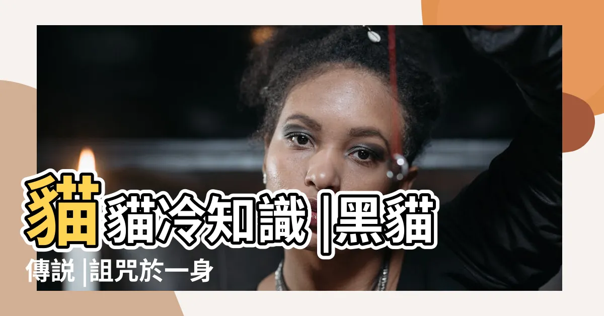 【黑貓 象徵】貓貓冷知識 |黑貓傳説 |詛咒於一身的貓咪 |