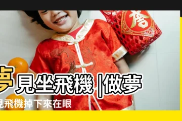【夢到天上掉下了飛機】夢見坐飛機 |做夢夢見飛機掉下來在眼前好不好 |夢見飛機從天上掉下來怎麼回事 |