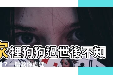 【家裡狗狗過世】家裡狗狗過世後不知所措？一篇教你處理狗狗身後事的超實用指南