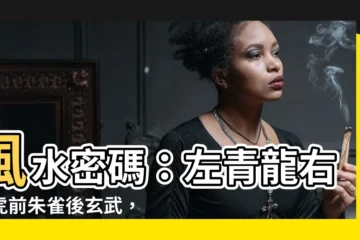【左青龍右北虎前朱雀後玄武風水】風水密碼：左青龍右白虎前朱雀後玄武，破解居家運勢