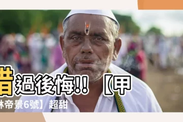 【帝景6】錯過後悔!! 【甲山林帝景6號】超甜價搶先曝光