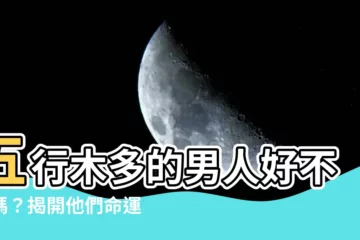 【五行木多的男人】五行木多的男人好不好嗎？揭開他們命運的秘密！