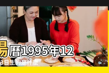 【95年12月份是什麼星座】陽曆1995年12月23日生的是什麼星座 |1995年是什麼年份 |1995年12月份是什麼星座 |