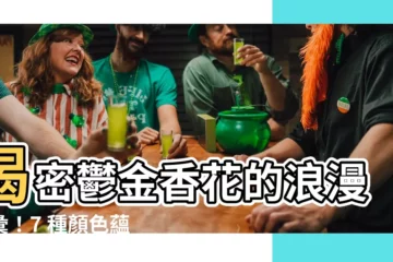 【鬱金香顏色】揭密鬱金香花的浪漫語彙！7 種顏色藴藏不同寓意，送上永恆真情