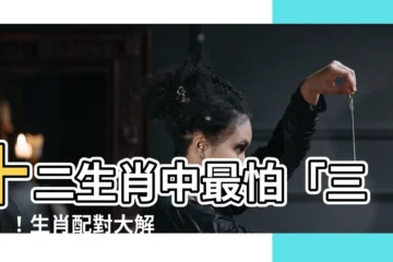 【怕三合】十二生肖中最怕「三合」！生肖配對大解析，避開相沖、相害桃花旺