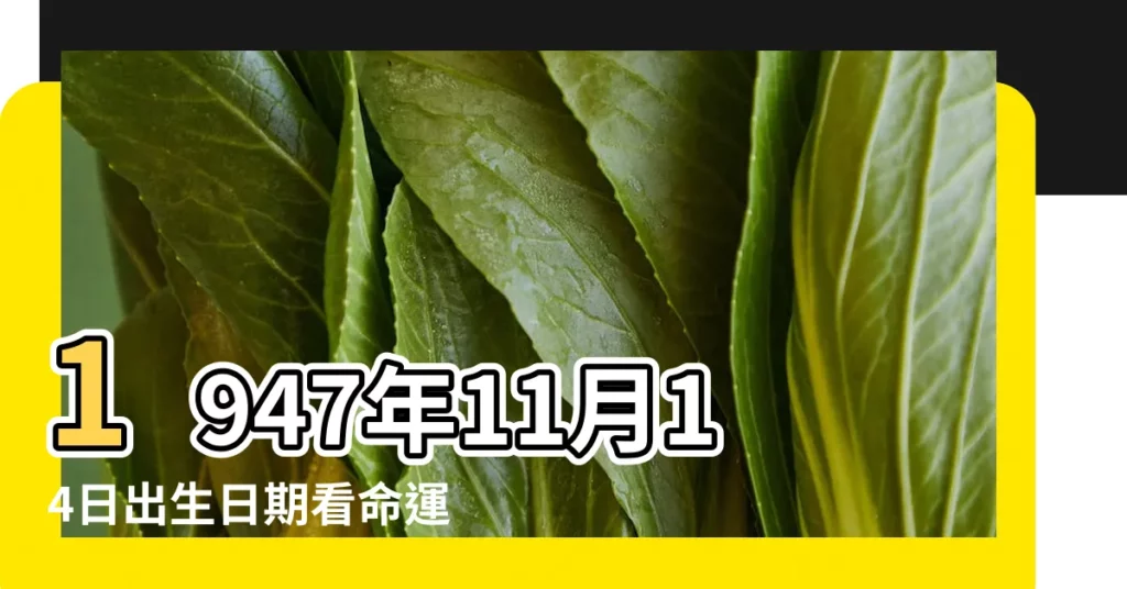1947年11月14日出生日期看命運 |陰曆一九四七年十 |1947年11月14日農曆多少號 |【1947年11月14陰曆】