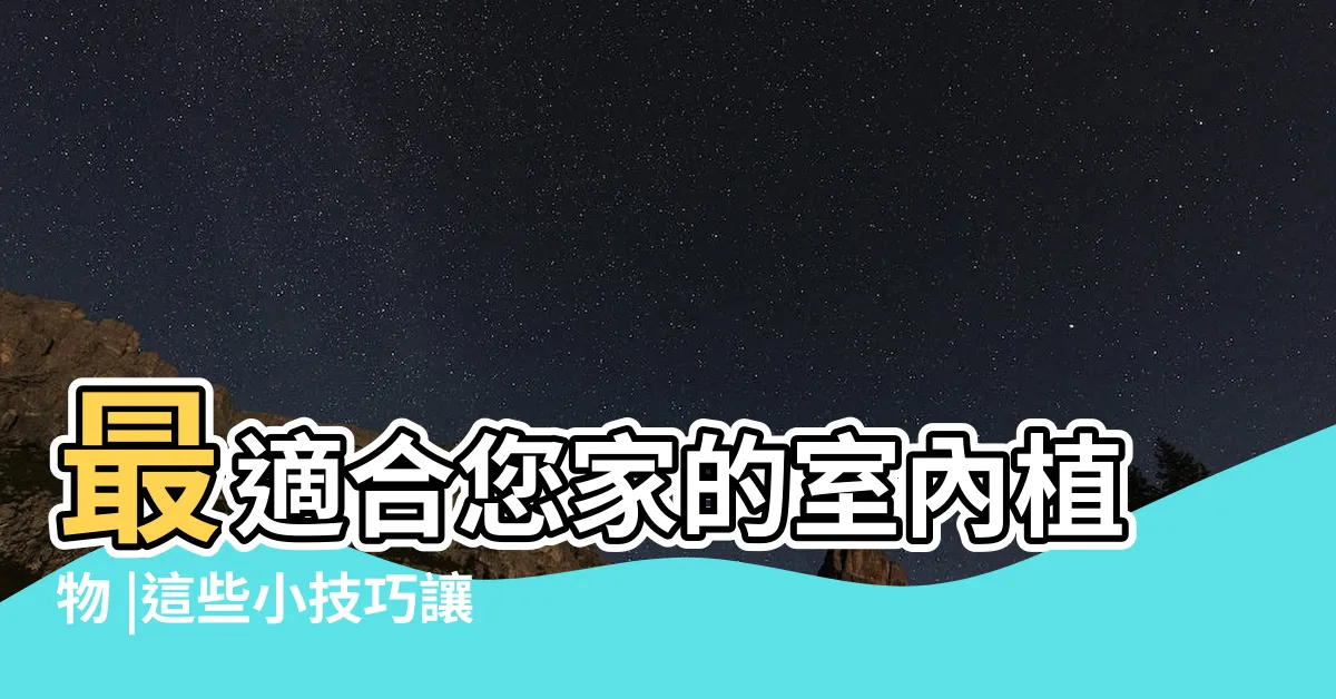 【虎尾蘭會開花嗎】最適合您家的室內植物 |這些小技巧讓你的虎尾蘭茂盛開花 |虎尾蘭怎麼養家庭養法 |
