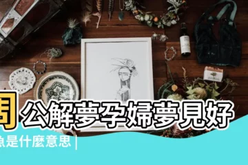 【懷孕了夢到抓很多魚】周公解夢孕婦夢見好多魚是什麼意思 |孕婦夢見魚 |周公解夢孕婦夢見好多魚 |