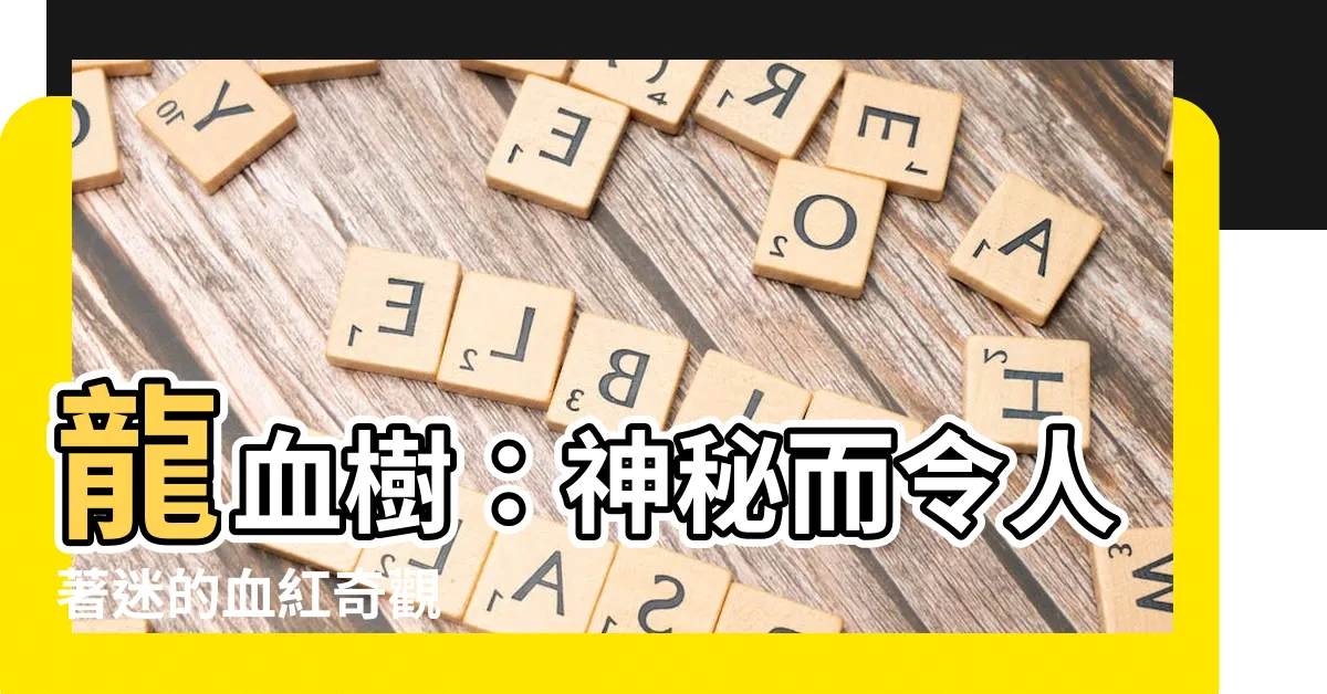 【血樹】龍血樹：神秘而令人著迷的血紅奇觀