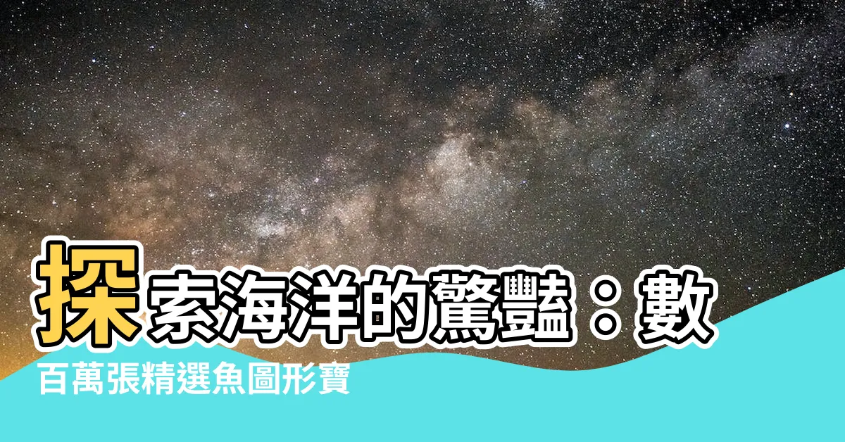 【魚圖形】探索海洋的驚豔：數百萬張精選魚圖形寶庫