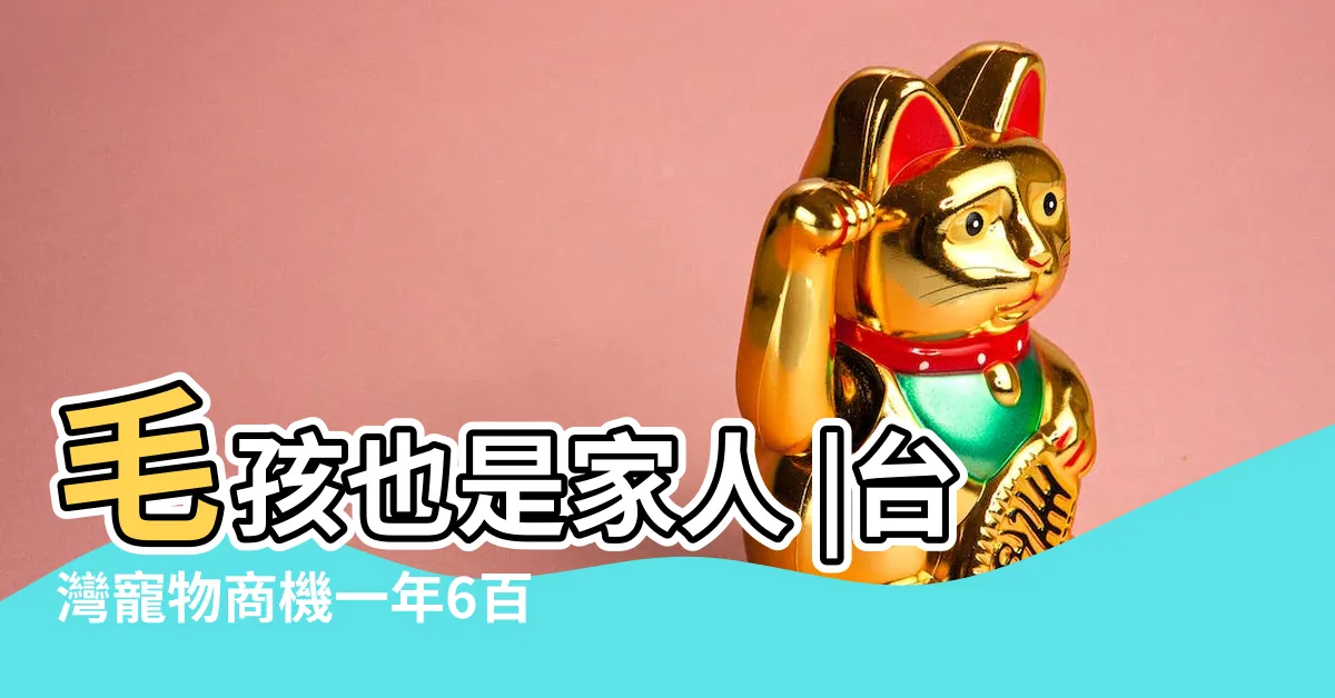 【寵物商機】毛孩也是家人 |台灣寵物商機一年6百億 |市場卻一直成長 |