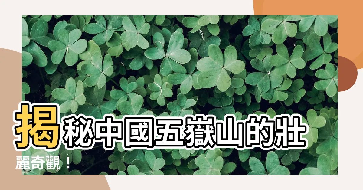 【中國五嶽山】揭秘中國五嶽山的壯麗奇觀！