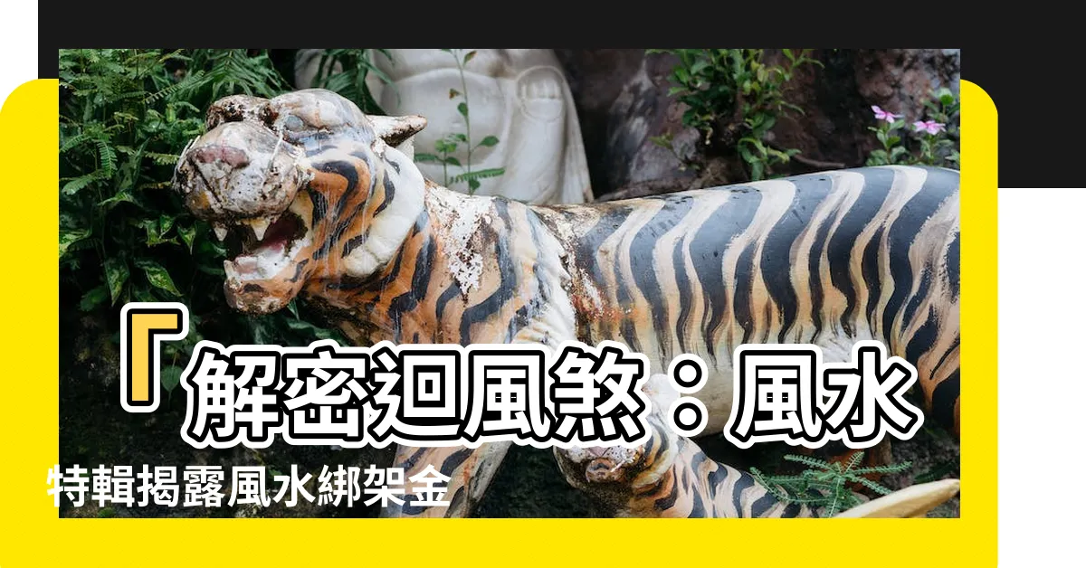 【迴風煞定義】「解密迴風煞：風水特輯揭露風水綁架金錢的奧秘！」
