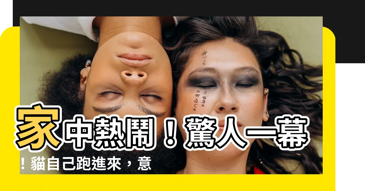 【貓自己跑進來】家中熱鬧！驚人一幕！貓自己跑進來，意味著什麼？