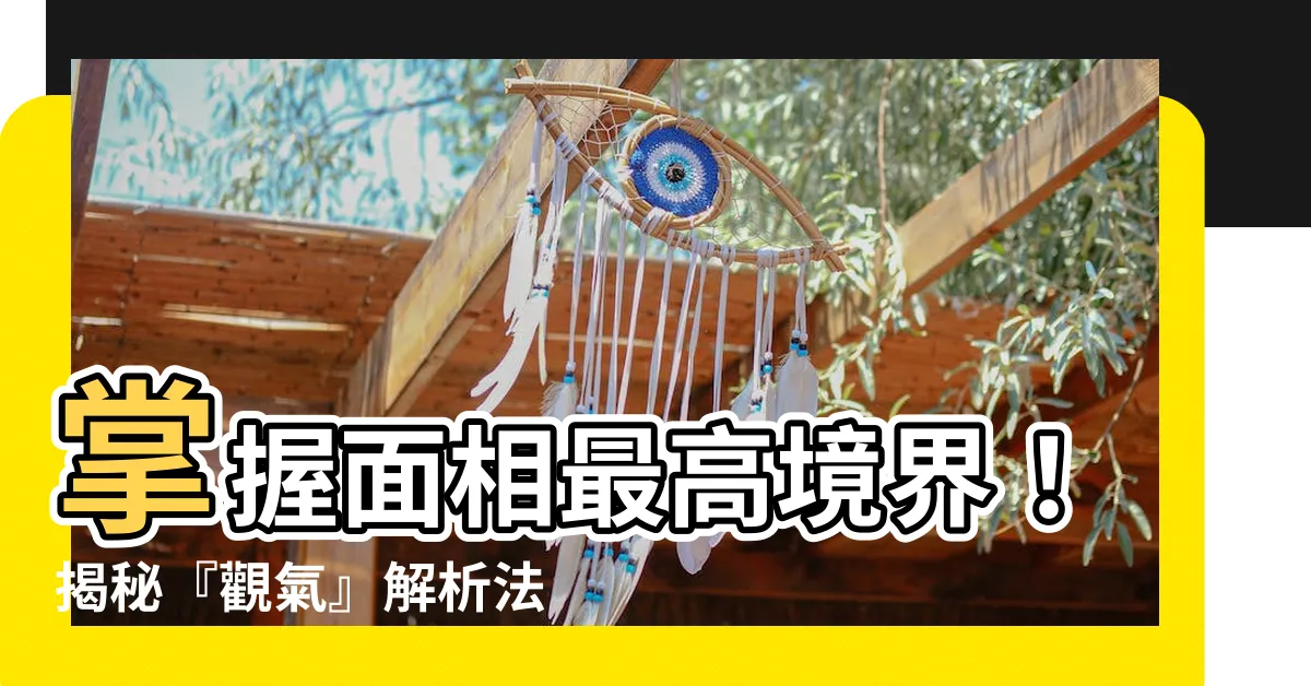 【觀氣】掌握面相最高境界！揭秘『觀氣』解析法