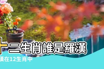 【十二生肖那些是羅漢】十二生肖誰是羅漢 |羅漢在12生肖中屬什麼 |十二生肖哪個代表羅漢 |