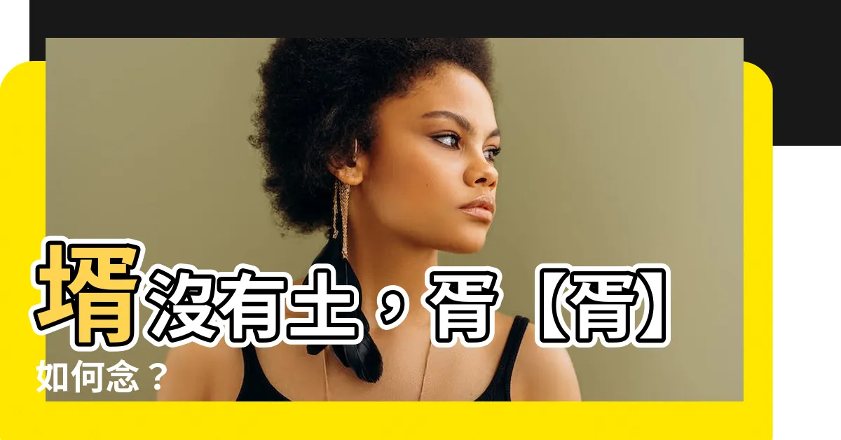 【壻沒有土】壻沒有土，胥【胥】如何念？