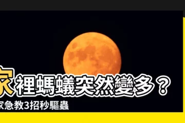 【家裡螞蟻突然變多】家裡螞蟻突然變多？專家急教3招秒驅蟲，保證一招比一招更有效！