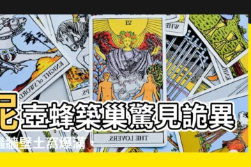 【牆壁土窩】泥壺蜂築巢驚見詭異昆蟲牆壁土窩爆滿，台女嚇到頭皮發麻！