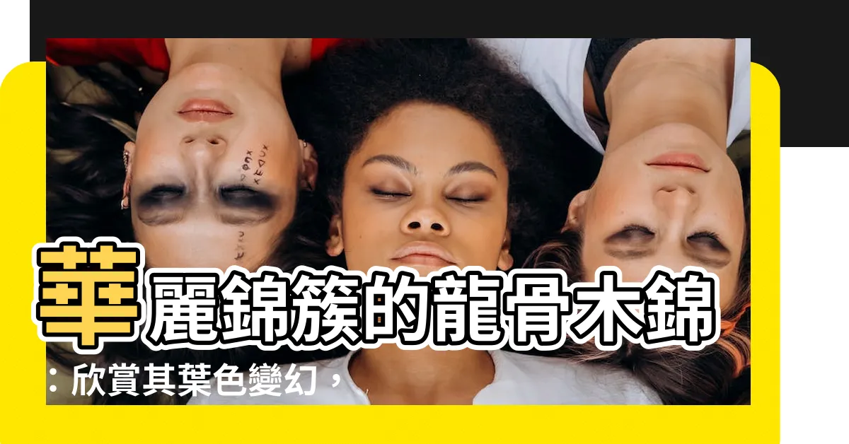 【龍骨木錦】華麗錦簇的龍骨木錦：欣賞其葉色變幻，探索價格優惠