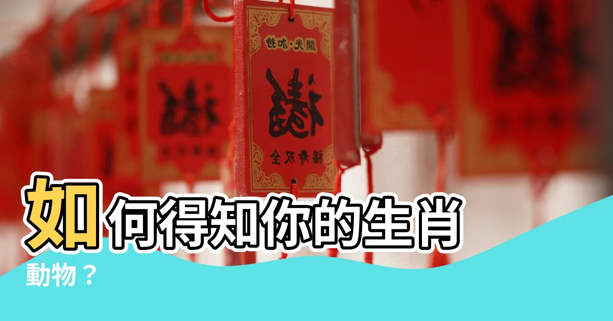 【你屬什麼】如何得知你的生肖 動物？