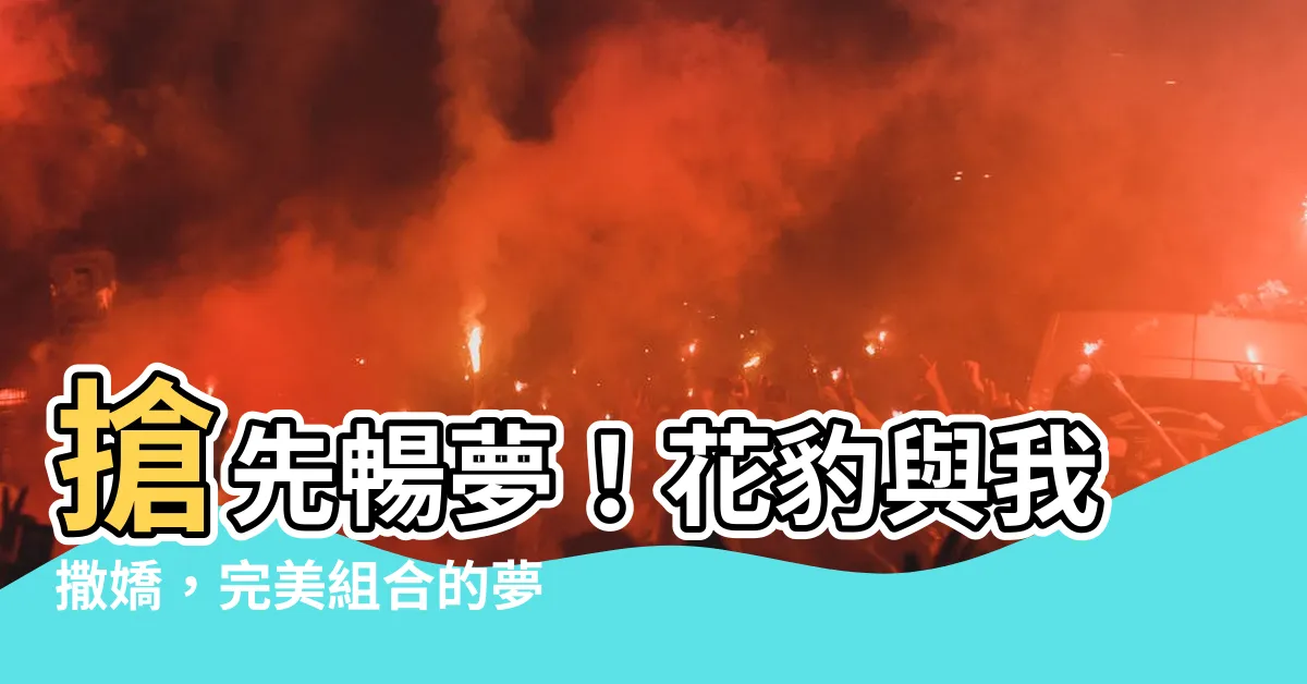 【夢到花豹撒嬌】搶先暢夢！花豹與我撒嬌，完美組合的夢境體驗