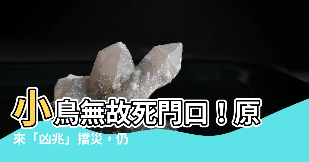 【小鳥死在門口】小鳥無故死門口！原來「凶兆」擋災，仍有這些事必須留意