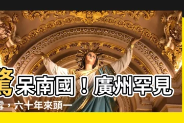 【廣州下雪】驚呆南國！廣州罕見飄雪，六十年來頭一遭！