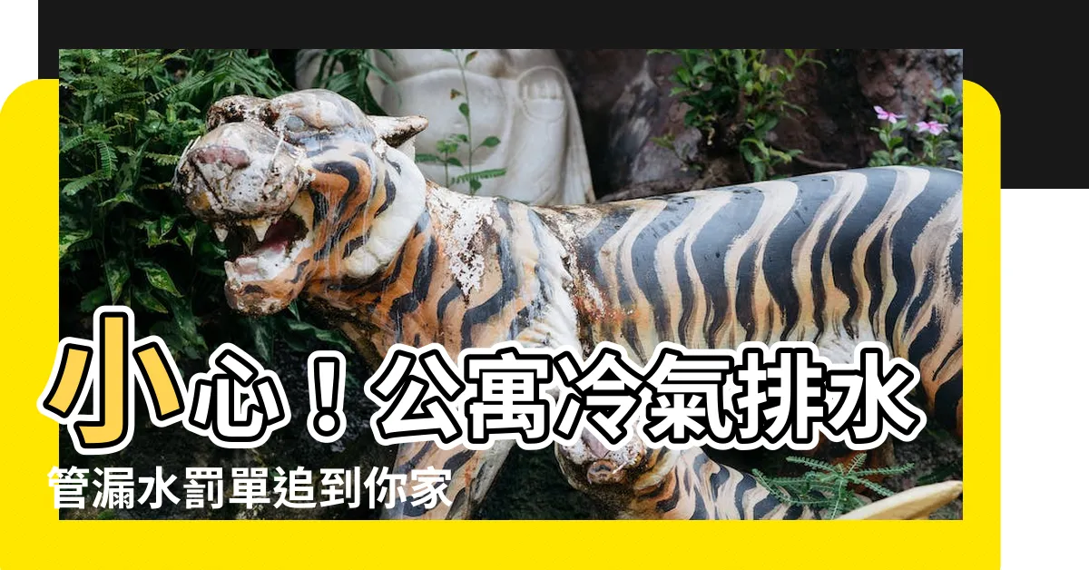 【公寓冷氣排水】小心！公寓冷氣排水管漏水罰單追到你家