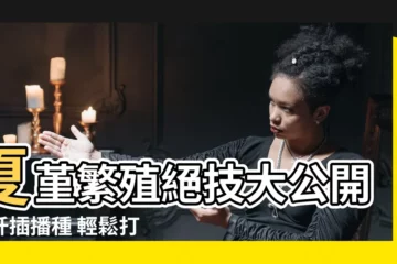 【夏堇繁殖】夏堇繁殖絕技大公開：扦插播種 輕鬆打造花園寵兒