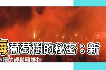 【海葡萄樹】海葡萄樹的秘密：新手必讀的輕鬆照護指南